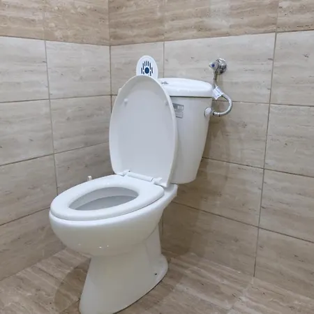 Taxiarchis Apartament Skiatos